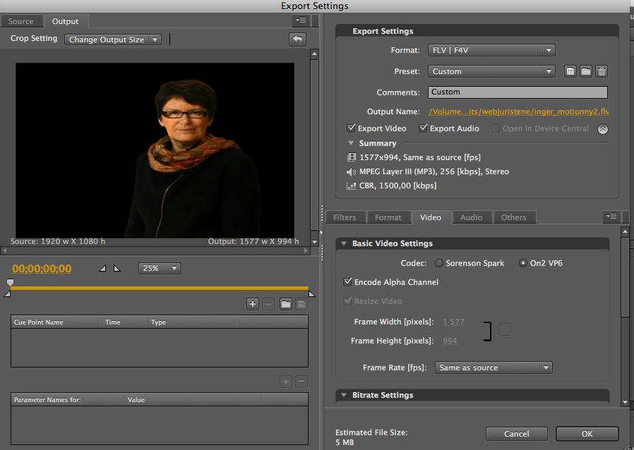 download adobe media encoder cs4 mac